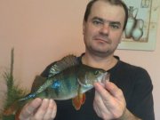 2Млинів 22.01.11.jpg