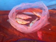 23012011458.jpg
