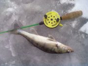 22012011058.jpg