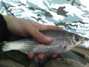 DSC04305.jpg