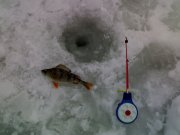 110120111361.jpg