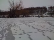 IMG_0374.jpg
