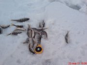 DSC00276.JPG