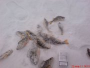 DSC00280.JPG