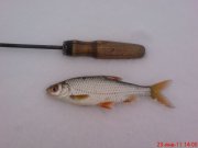 DSC00284.JPG