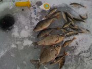 IMG_0379.jpg