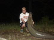 Atractosteus-spatula_7.jpg
