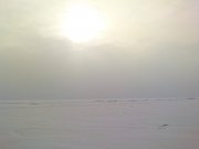 DSC04332.jpg