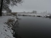 P1160633.jpg