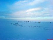 DSC01526.jpg