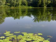 12072008020.jpg