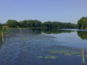 12072008021.jpg