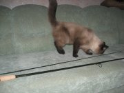 IMG_0577.JPG