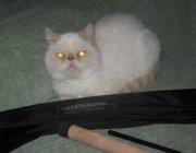 IMG_0575.JPG