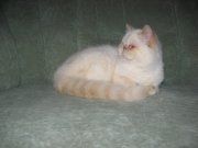 IMG_0588.JPG