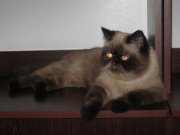 IMG_0322.JPG