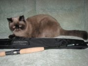 IMG_0582.JPG