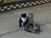 23052010063.jpg