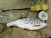 DSC04335.jpg