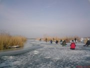 DSC00896.jpg