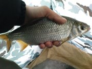 DSC04365.jpg