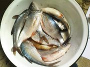 DSC04380.jpg