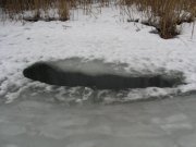IMG_3339.jpg