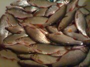 060220111620.jpg