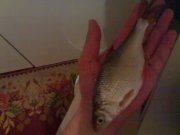 060220111623.jpg