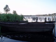 P1010039.jpg