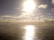 DSC02744.jpg