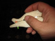 IMG_2222.jpg