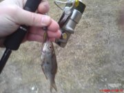 DSC00770.JPG