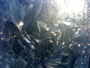 15022011005.jpg