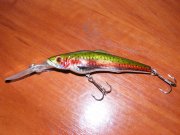 DSCF2087.jpg