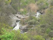 P1110352_resize-web.jpg