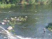 2007_08240153.JPG