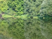 2007_08240178.JPG