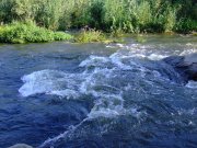 2007_08240194.JPG