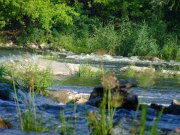 2007_08240196.JPG