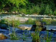 2007_08240197.JPG