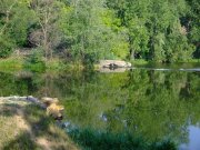 2007_08240212.JPG