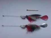 DSC00222.jpg