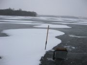 IMG_0443.JPG