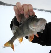 IMG_0449.JPG