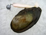 IMG_4170.jpg