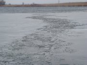 DSC00526_resize.JPG