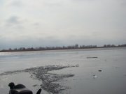 DSC00530_resize.JPG