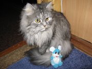 IMG_0339.JPG