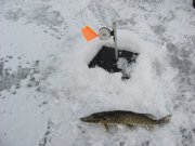 IMG_0518.JPG